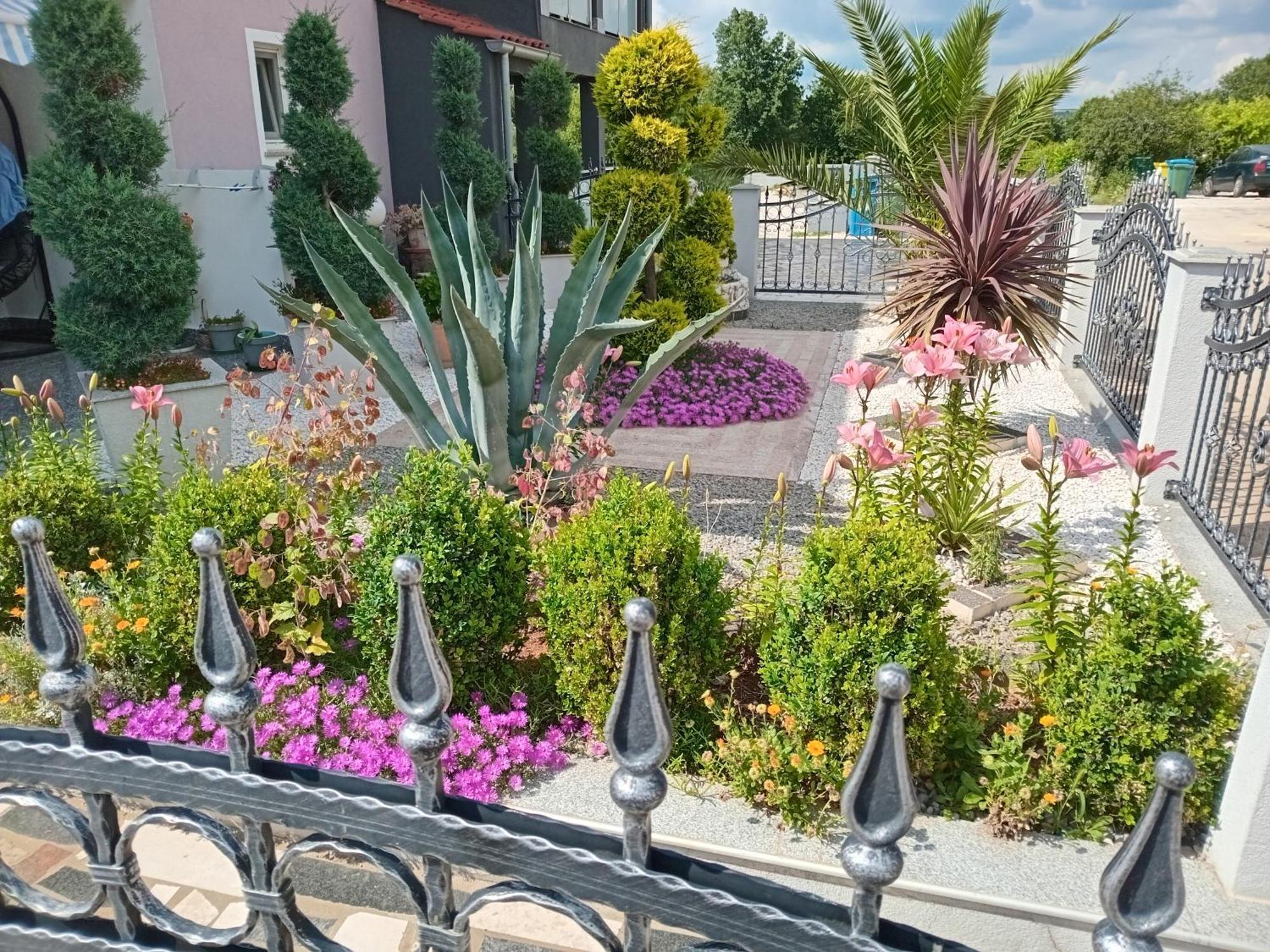 Apartments Katja Poreč Zewnętrze zdjęcie